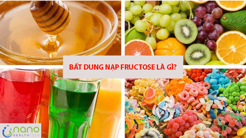 bat-dung-nap-duong-fructose-la-gi